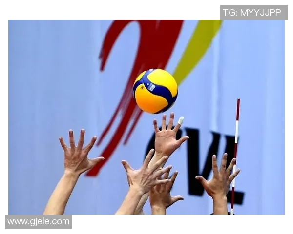 武汉排球队战术揭秘：排球巨献背后的策略与团队协作分析