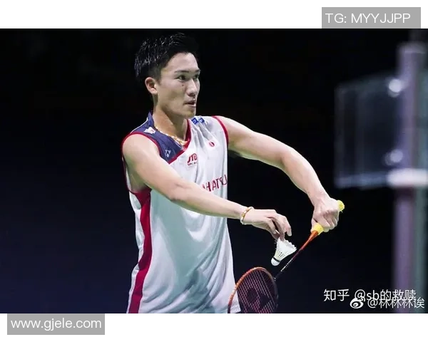 成都羽毛球队个人能力深度对比分析揭示选手潜力与发展方向